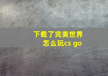 下载了完美世界怎么玩cs go